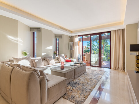 Kalanchoe Penthouse