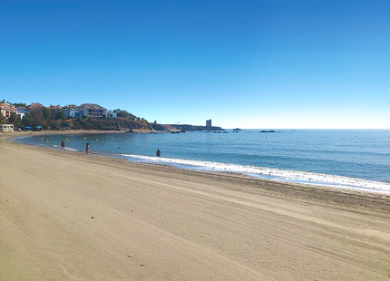 Solemar, contemporary apartments with amazing seaviews in Casares Beach.