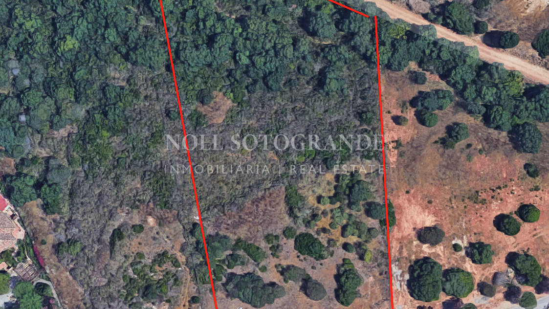 Großes Baugrundstück Sotogrande Alto