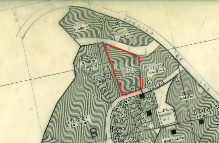 Gran Parcela Sotogrande Alto