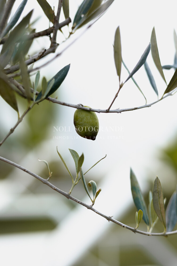 Luxury apartment in excellent location of La Reserva de Sotogrande