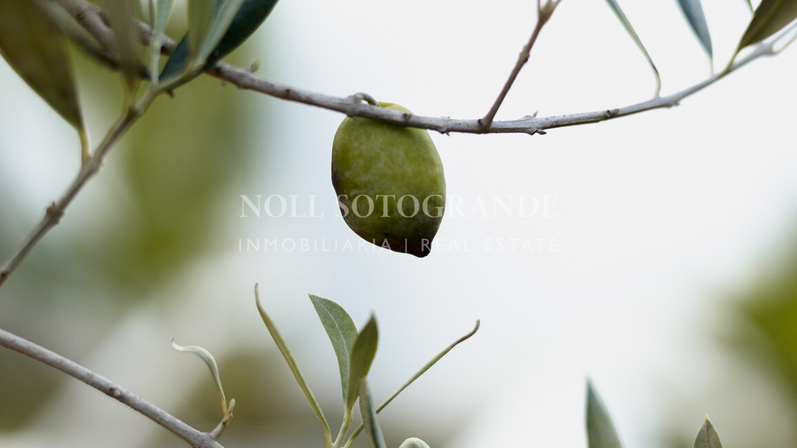 Luxury apartment in excellent location of La Reserva de Sotogrande