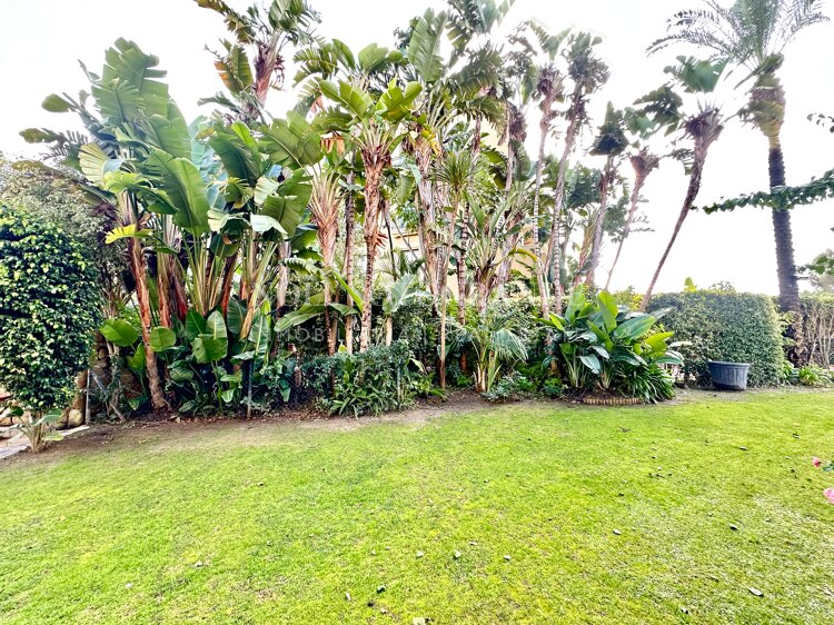 Ground-floor apartment with private pool in Ribera del Río, Sotogrande Marina