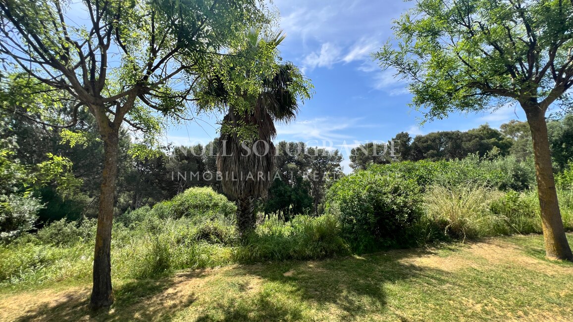 Building plot with available project and license