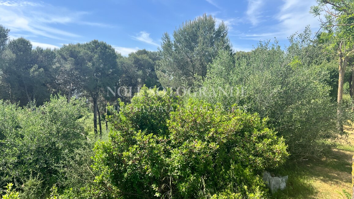 Building plot with available project and license