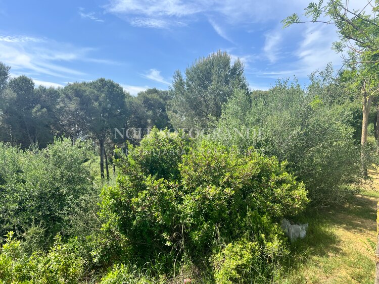 Building plot with available project and license