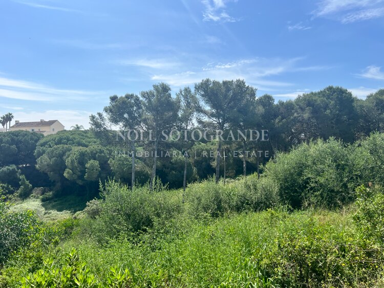 Baugrundstück verfügbar mit Projekt und Baulizenz