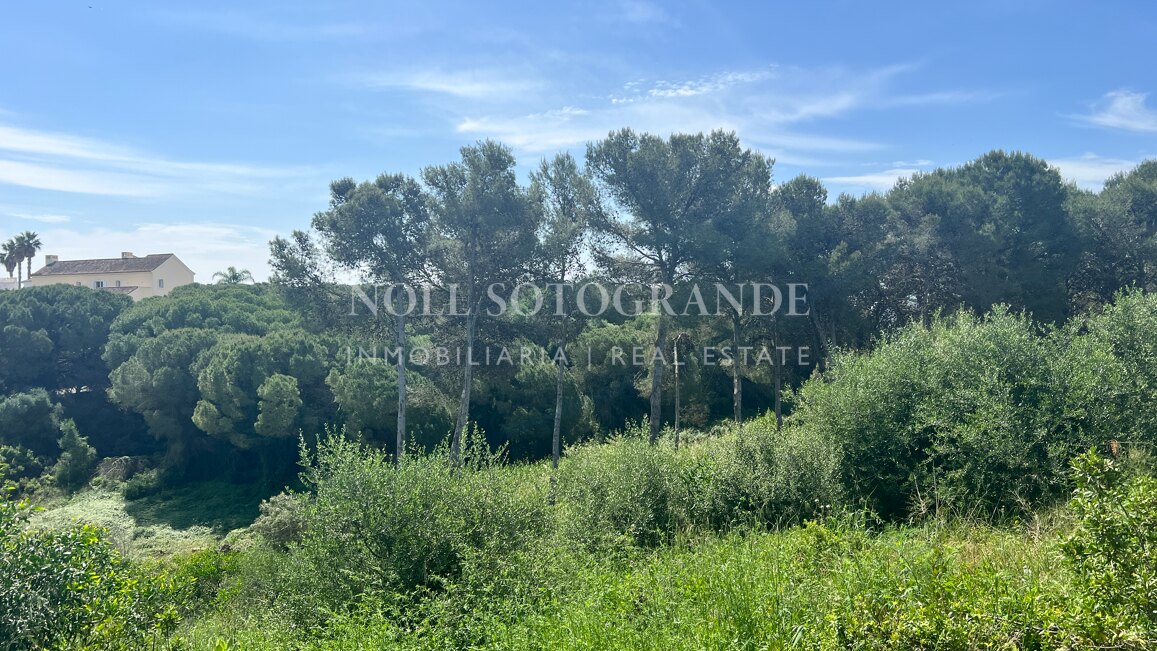 Building plot with available project and license