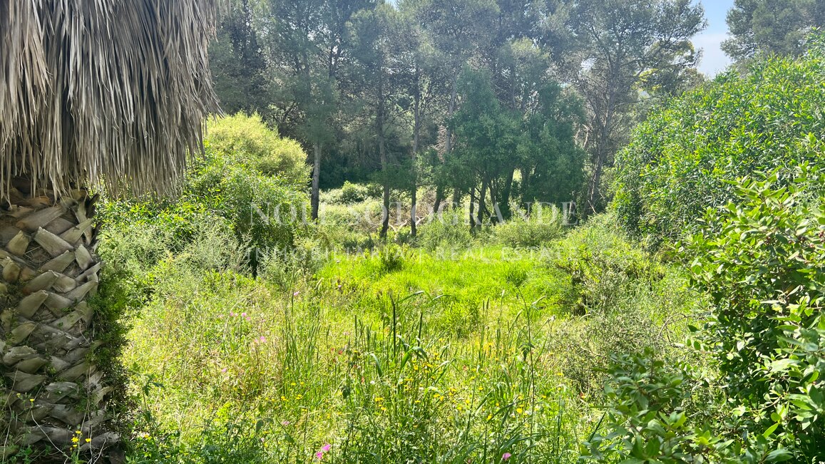 Building plot with available project and license