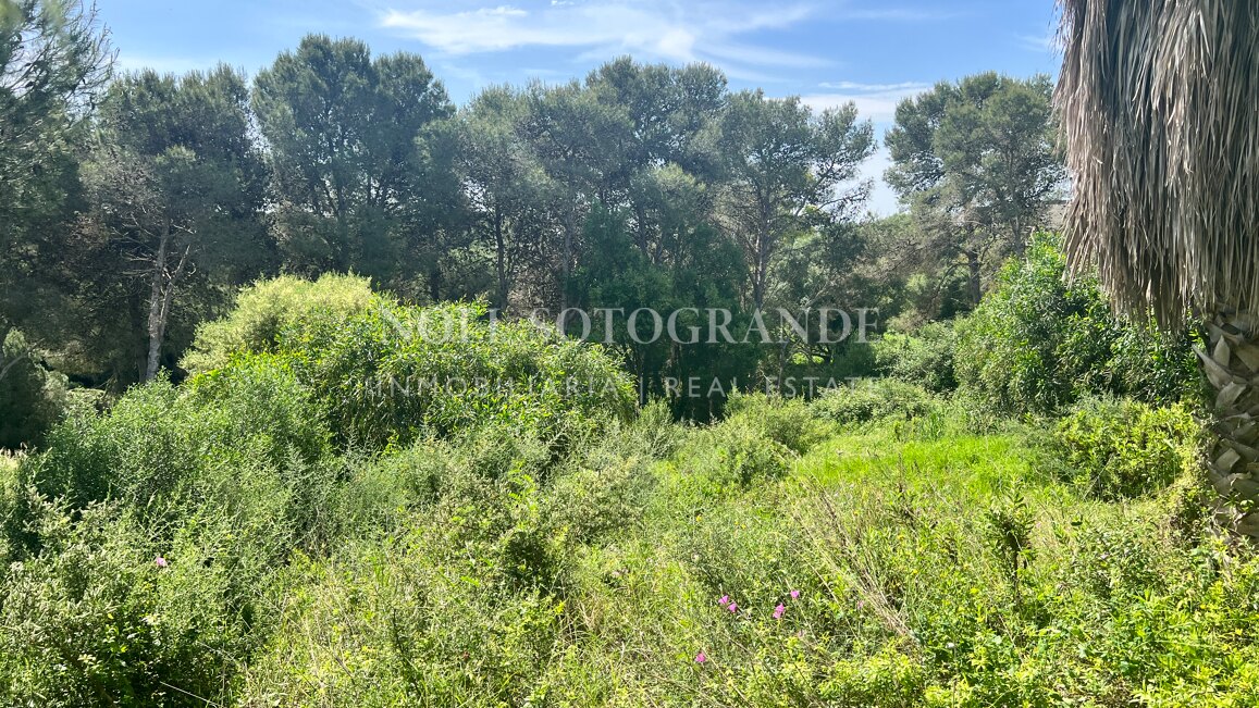 Building plot with available project and license