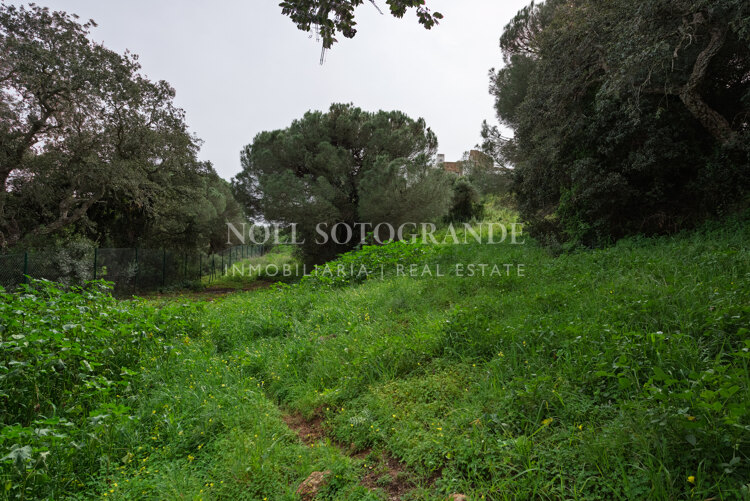 Building plot for sale in Sotogrande Alto