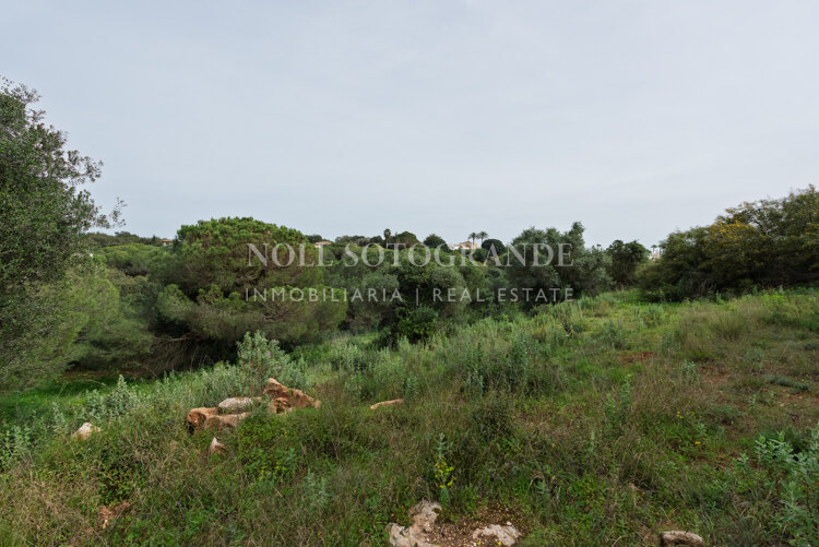 Building plot for sale in Sotogrande Alto