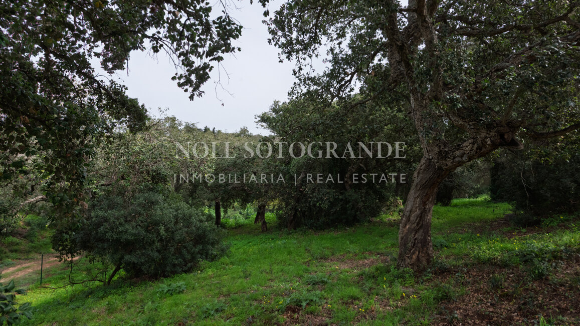 Building plot for sale in Sotogrande Alto