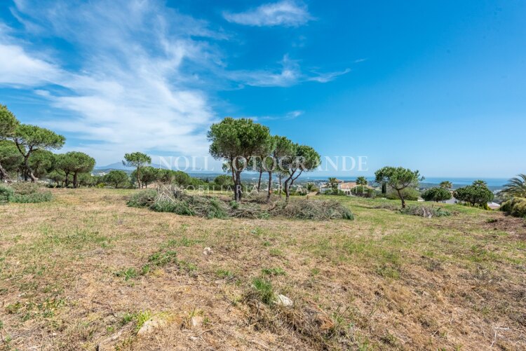 Erstklassiges Baugrundstück mit Meerblick in Sotogrande Alto (Zona G).