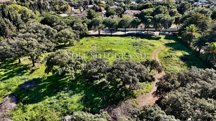 Spectacular building plot for sale on a top street of Sotogrande Alto