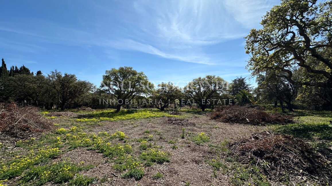 Spektakuläres Baugrundstück zum Verkauf in einer Top-Straße von Sotogrande Alto