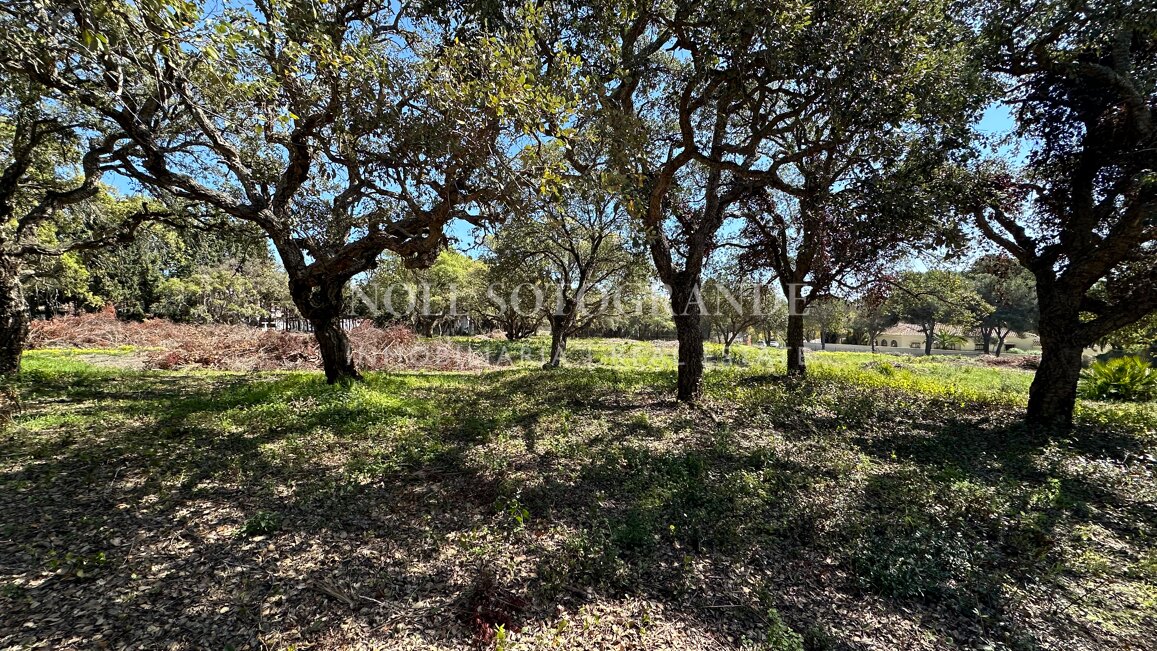 Spektakuläres Baugrundstück zum Verkauf in einer Top-Straße von Sotogrande Alto