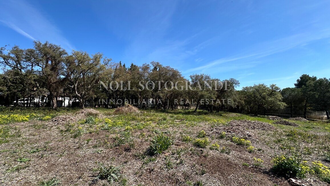 Spektakuläres Baugrundstück zum Verkauf in einer Top-Straße von Sotogrande Alto