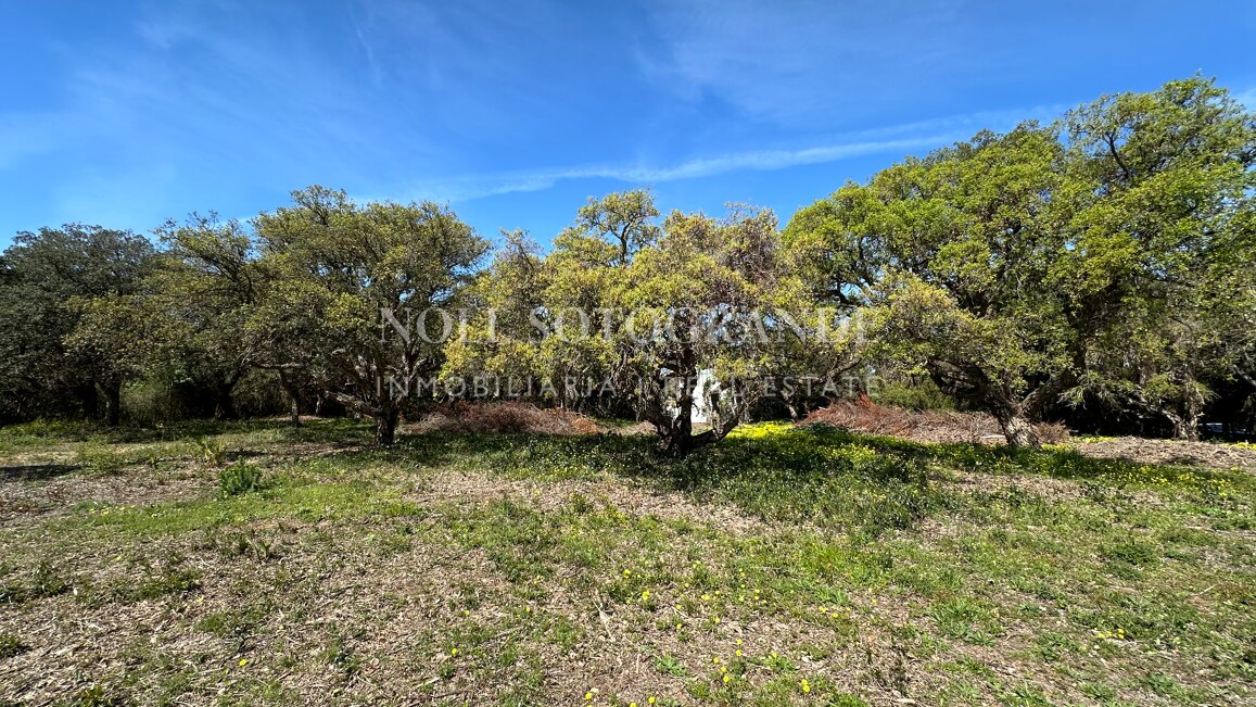 Spektakuläres Baugrundstück zum Verkauf in einer Top-Straße von Sotogrande Alto