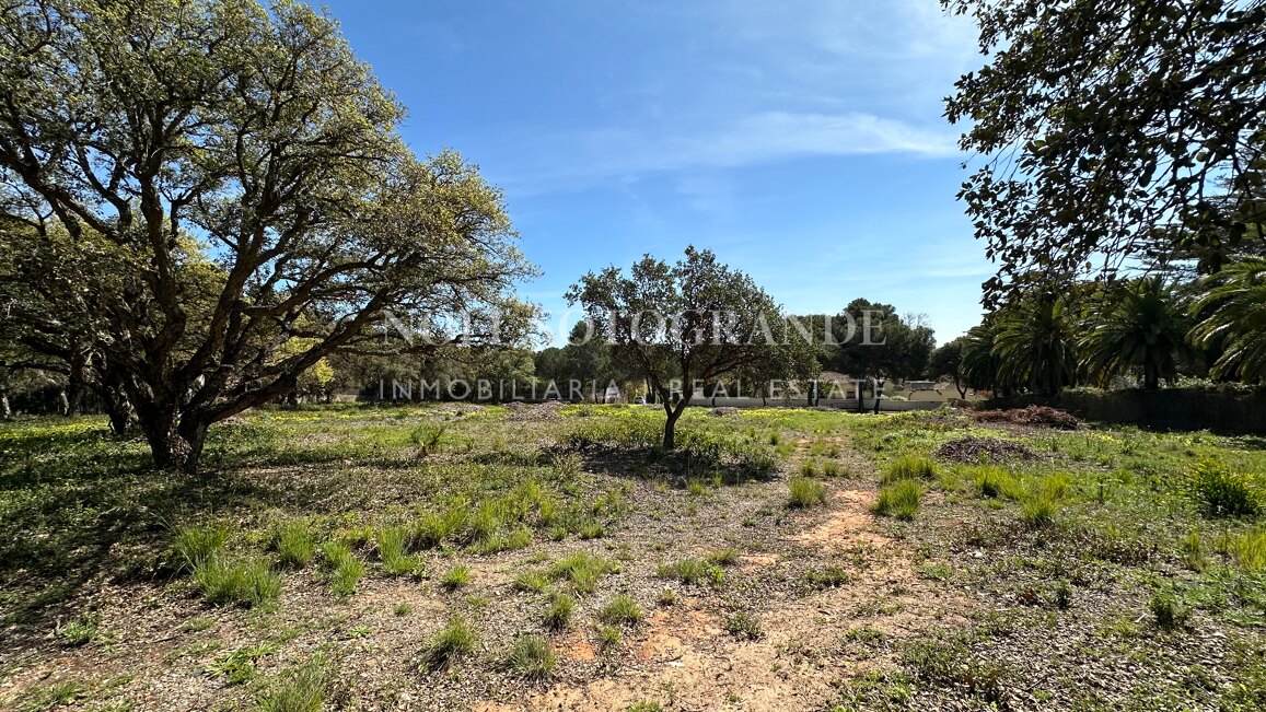 Spektakuläres Baugrundstück zum Verkauf in einer Top-Straße von Sotogrande Alto