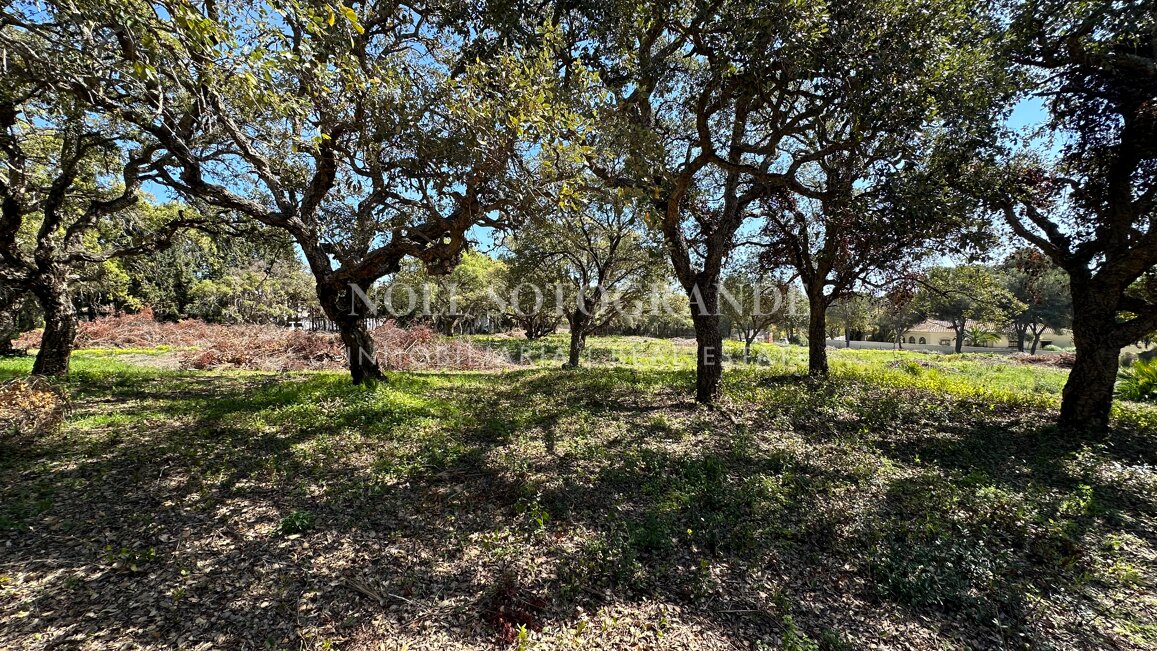 Spektakuläres Baugrundstück zum Verkauf in einer Top-Straße von Sotogrande Alto