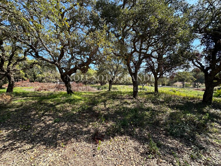 Spectacular building plot for sale on a top street of Sotogrande Alto