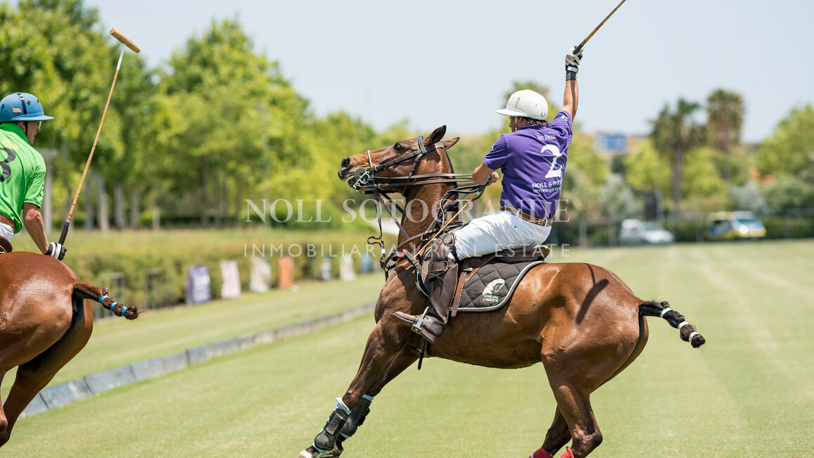 Villa Gazania - Zeitgenössische Villa zum Verkauf Sotogrande Alto