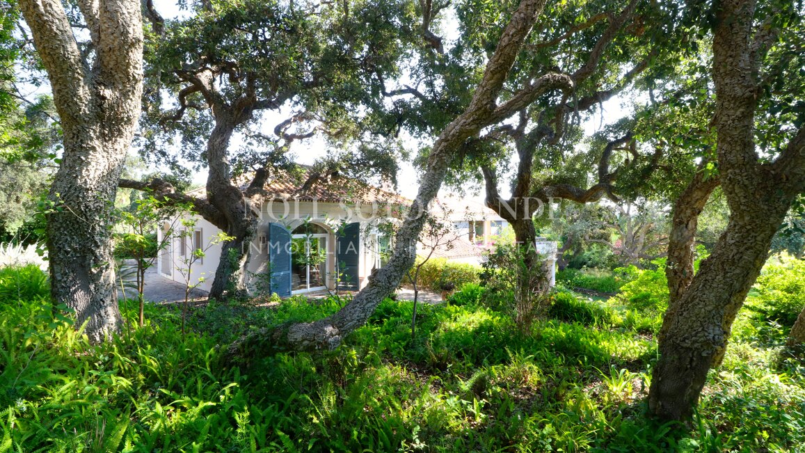 Spacious 5-Bed Villa for Sale in Altos de Valderrama, Sotogrande