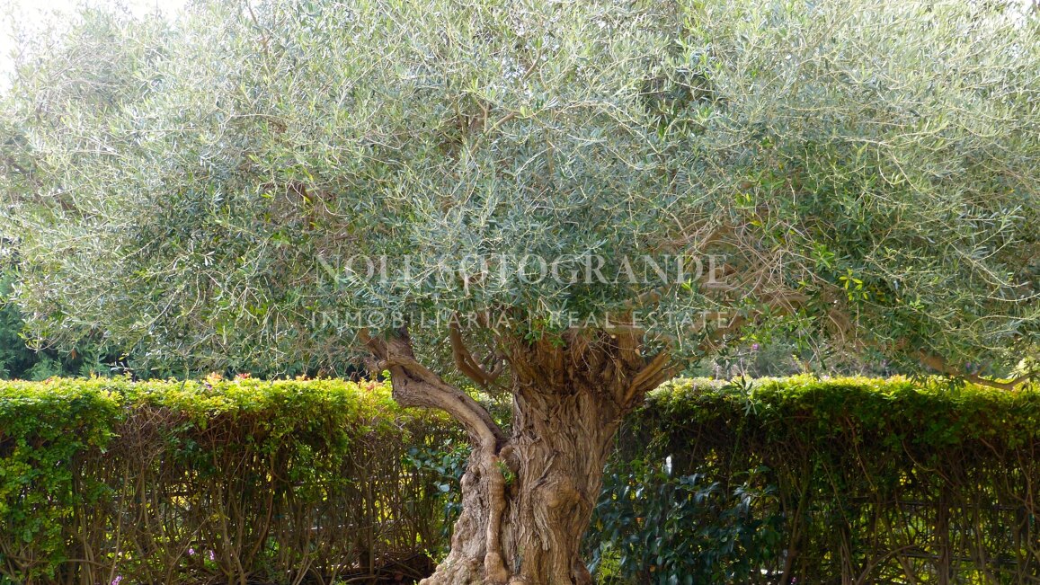 Moderne Erdgeschosswohnung in Pologardens Sotogrande zu vermieten.