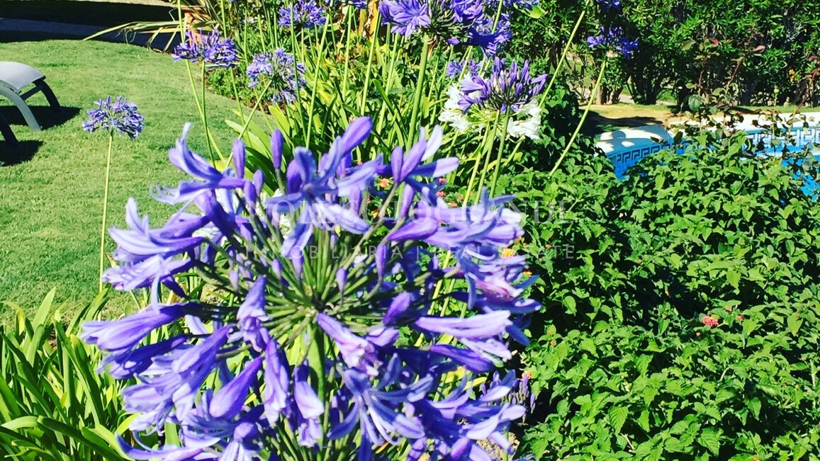 Sehr charmante Villa zur Ferienvermietung in Sotogrande