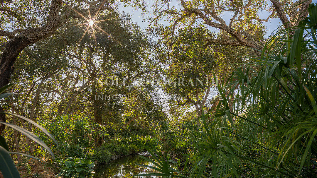 Villa Bosque - Exklusive Villa in Sotogrande Alto Nähe der SIS