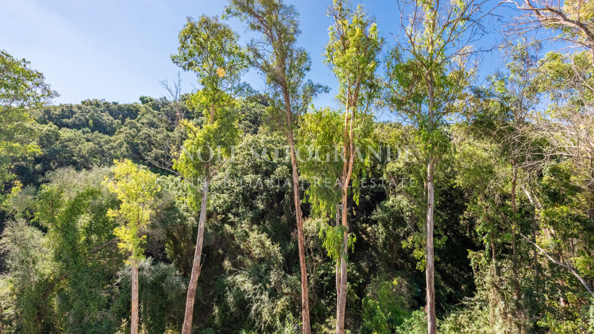 Moderne fertiggestellte Neubau-Villa in sehr privater Lage in Sotogrande Alto