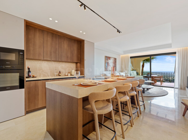 Duplex Penthouse
