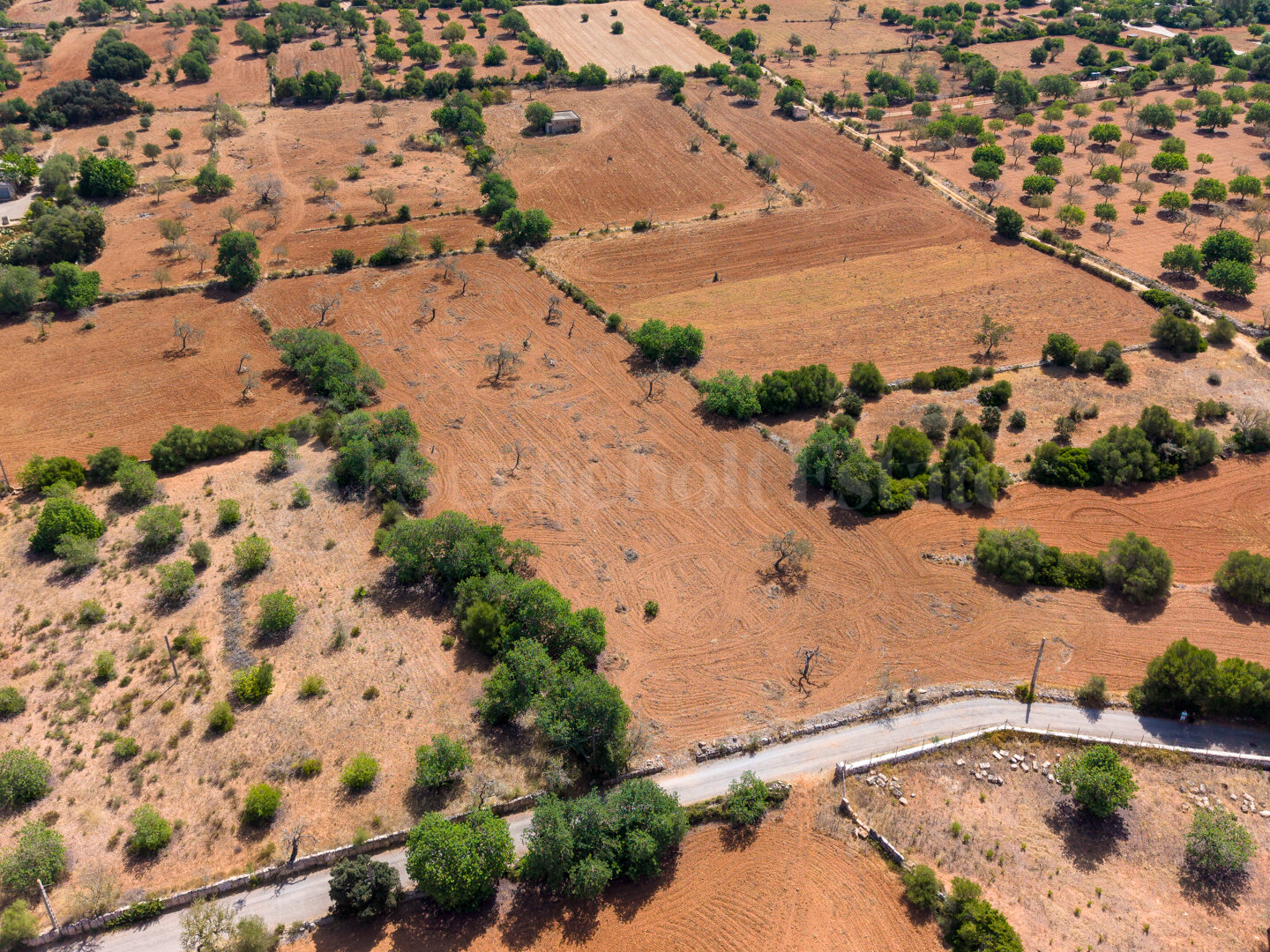 Land for sale in Felanitx view