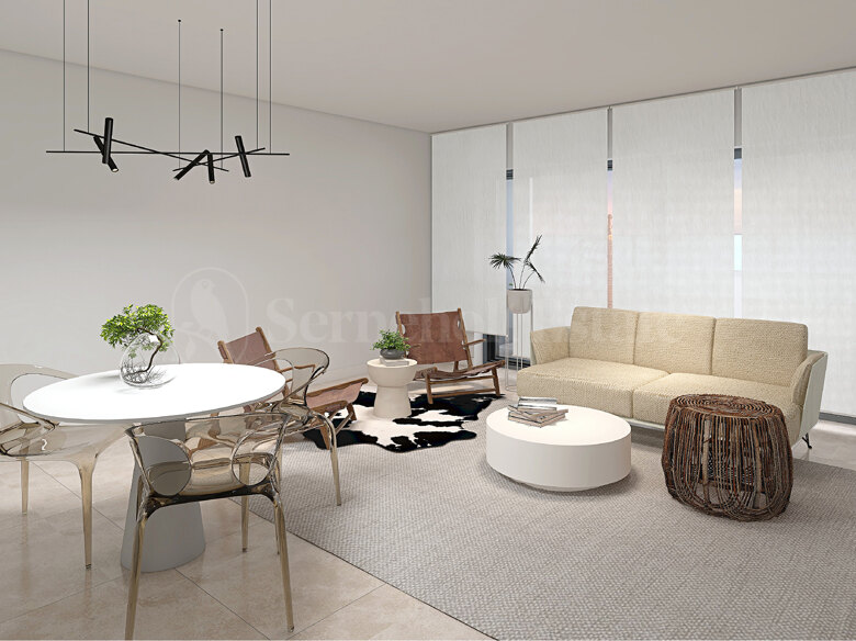 Stunning Penthouse with Expansive Rooftop Terrace