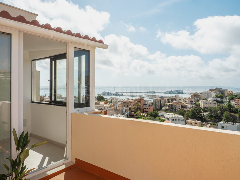 Penthouse with a view