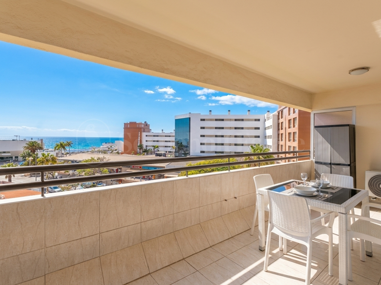 Newly renovated apartment with sea views
