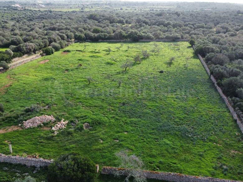 Terreno de 15600 m2 en Ses Salines con hermoso proyecto aprobado