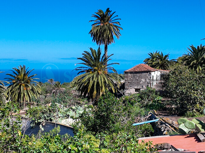Large Agricultural Land with a Historic Canarian House for Sale