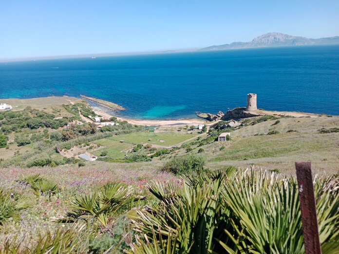 Unique Plot with Sea Views in Tarifa – 118,000 m² Near Torre de Guadalmesí