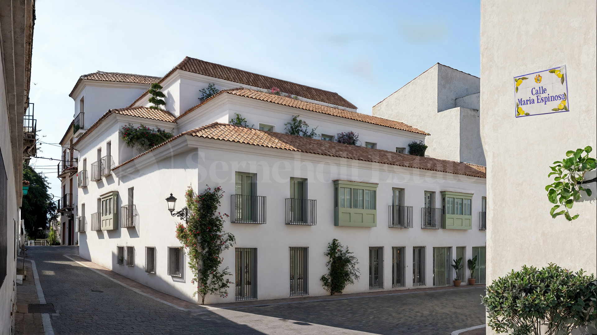 Apartment for sale in Estepona Town, Estepona view