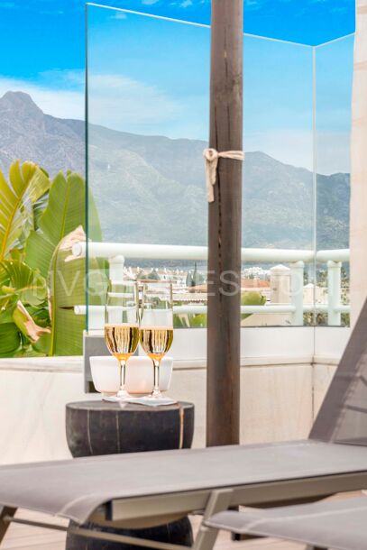 Duplex penthouse
