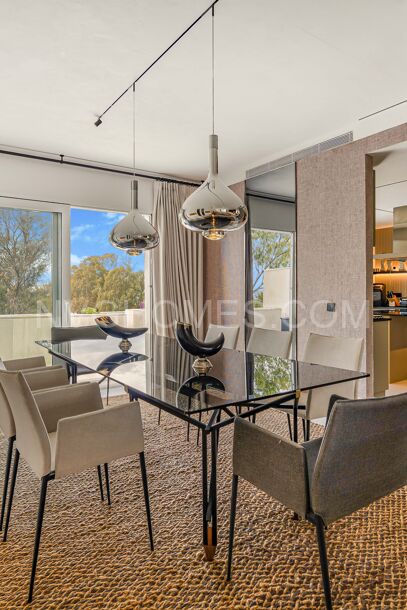 Duplex penthouse