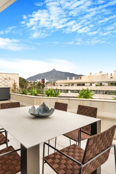 Duplex penthouse