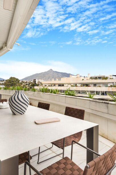 Duplex penthouse