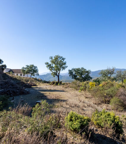 Wunderschönes Grundstück mit Bergblick zum Verkauf in La Zagaleta Golf Resort, Benahavís