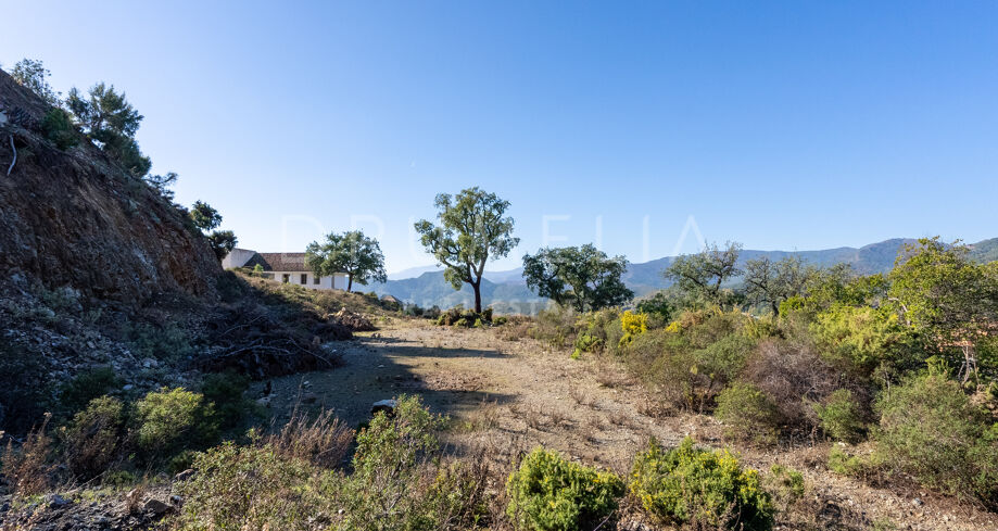 Superbe terrain avec vue sur les montagnes à vendre à La Zagaleta Golf Resort, Benahavís