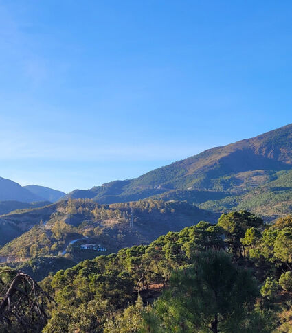 Großes, schönes Baugrundstück mit ruhigem Bergblick in elitärer Lage La Zagaleta, Benahavís