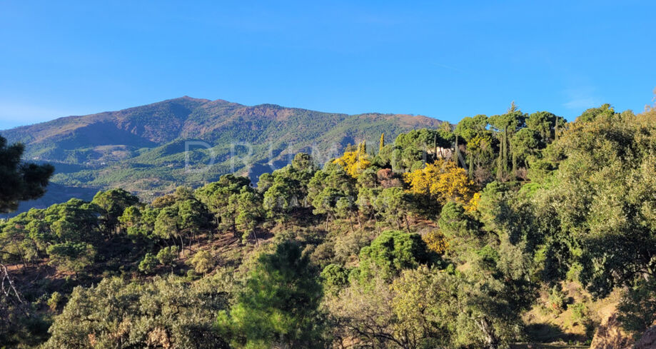 Vaste terrain à bâtir, vue montagne paisible à La Zagaleta, Benahavís