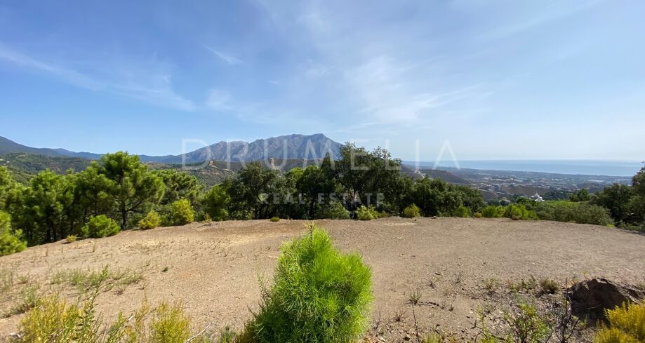 Эксклюзивный большой участок земли с панорамными видами в элитной Загалете